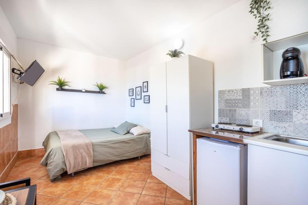 Apartamento Alisios De Jover La Laguna  Exterior foto